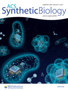 JGI-developed genetic engineering technique CRAGE lands the cover of ACS Synthetic Biology. (Wayne Keefe/Berkeley Lab)