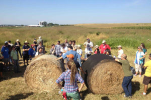 Tour of switchgrass farming at Arlington Research Station in Wisconsin during a switchgrass community meeting.(David Lowry)