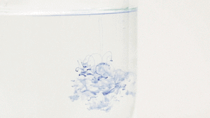 Watch bioengineered indigoidine diffuse through water, illustrating its vibrant hue. (Marilyn Chung)
