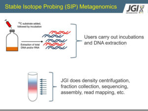 image for webinar on stable isotope technologies at the JGI and EMSL
