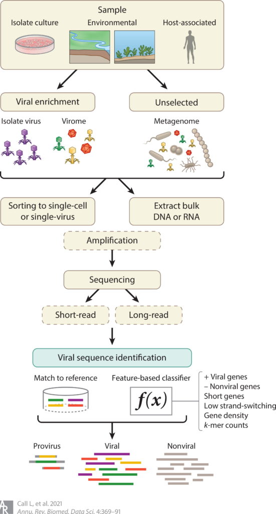 Workflow for identifying viral sequences in most common sample types, a figure from their article summarizing the field of viral metagenomics.