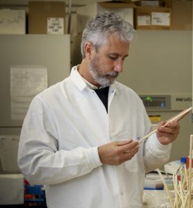 Gerald “Jerry” Tuskan, plant biologist and geneticist at Oak Ridge National Laboratory, studies poplar as a bioenergy feedstock. (Jason Richards)