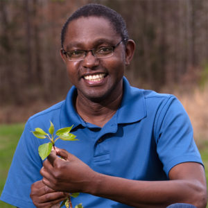 Wellington Muchero, a plant biologist and quantitative geneticist at Oak Ridge National Laboratory, has mapped poplar traits that will make the tree a better source of biofuel and bioproducts. (Carlos Jones)