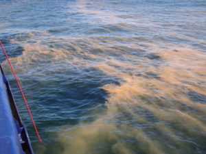 Coloring the water, the algae Phaeocystis blooms off the side of the sampling vessel, Polarstern, in the temperate region of the North Atlantic. (Katrin Schmidt)