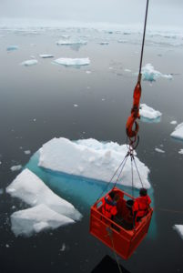Scientists sampling under-ice phytoplankton communities utilising a ‘mummy chair.’ Under-ice communities are vital for, for example, krill and other under-ice feeding organisms. (Katrin Schmidt)