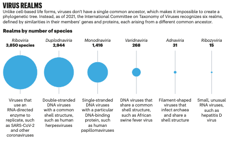 A summary of research on the origins and classification of viruses. (Dance, A. The incredible diversity of viruses. Nature. 2021 Jul 1. https://doi.org/10.1038/d41586-021-01749-7)
