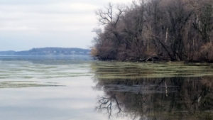 MetaHipMer2 is being used to support a broad array of metagenomics-based user science at the JGI. One of the datasets involves samples from Lake Mendota, a large freshwater lake in Wisconsin. (Courtesy of the McMahon Lab)