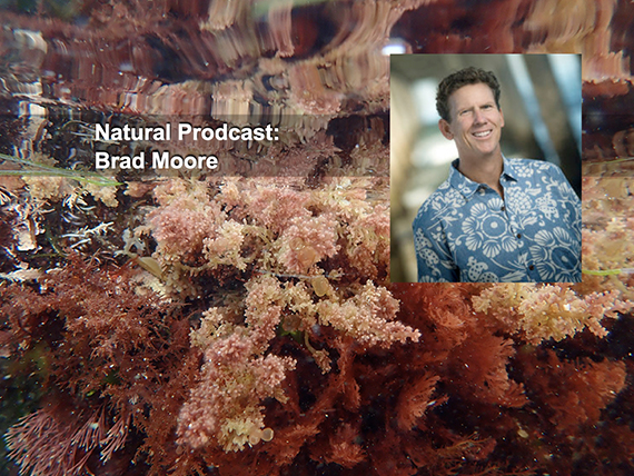 Natural Prodcast with Brad Moore 