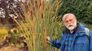 Claude dePamphilis, plant biologist at Penn State University, is one of more than 100 principal investigators working on the Open Green Genomes project to fill in the plant tree of life. (Alison F. Takemura)