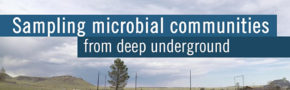 screencap from Amundson and Wilkins subsurface microbiome video