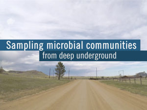 screencap from Amundson and Wilkins subsurface microbiome video