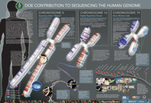 JGI contributions detailed in DOE Human Genome Project poster