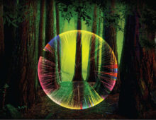 Artistic rendering of a microbial genome layered over a dark forest. (Composition by Zosia Rostomian/Berkeley Lab)