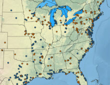 : Documented occurrences of different switchgrass cytotypes (4X in blue and 8X in orange) throughout the United States. One of the early interests in exploring 8X switchgrass was because the noticeable occurrence of 8X in 4X distribution gaps. (Joseph Napier)