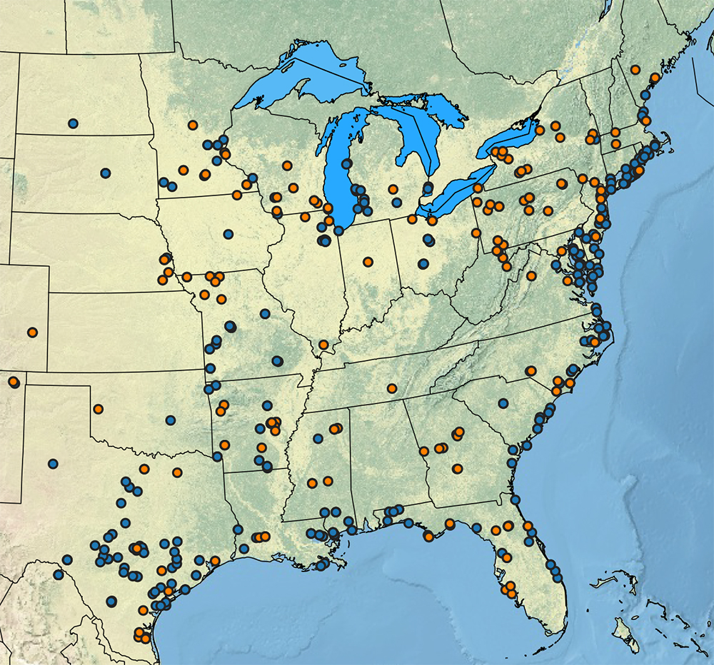 : Documented occurrences of different switchgrass cytotypes (4X in blue and 8X in orange) throughout the United States. One of the early interests in exploring 8X switchgrass was because the noticeable occurrence of 8X in 4X distribution gaps. (Joseph Napier)