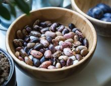The common bean (Phaseolus vulgaris) includes pinto beans, kidney beans, black beans, navy beans and more. (Image Credit: TK)