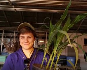 Scientist Diana Ruggiero holds a potted corn plant used for experiments.