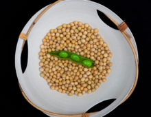 A white bowl of beige soybeans is set against a black background. On top of the individual beans is a pea pod.