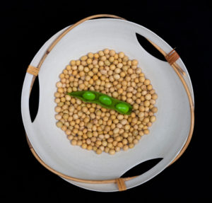 A white bowl of beige soybeans is set against a black background. On top of the individual beans is a pea pod.