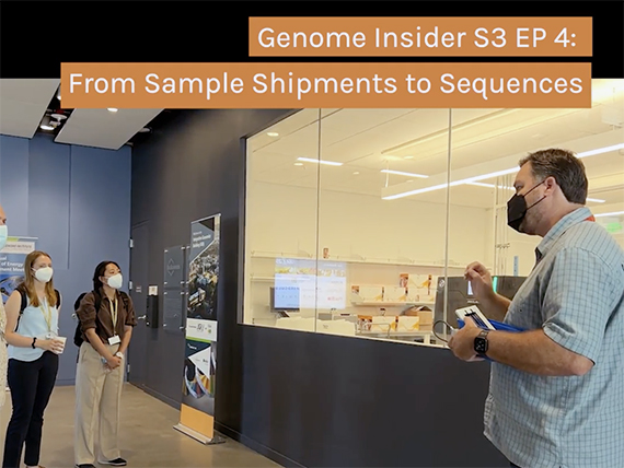 https://jgi.doe.gov/genome-insider-s3-episode-4-from-sample-shipments-to-sequences-a-tour-of-the-jgis-sequencing-pipeline/