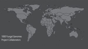 A gif that shows where in the globe JGI collaborators are located.