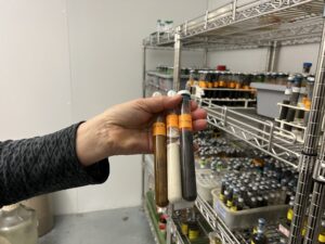 Three test-tubes filled with different colored microbes: rust, white, and blackish.