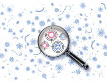 Illustration of a magnifying glass identifying viruses.