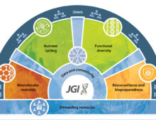 Strategic themes and initiatives of the JGI strategic plan