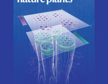 The April 2024 cover of Nature Plants, featuring an illustration showing the multi-layered approach to studying symbiosis in this study.