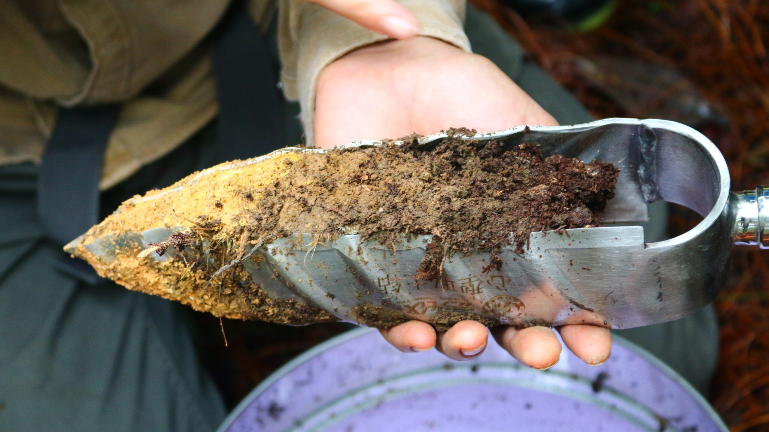 Alt: A researcher holds a soil sample in the palm of their hand.