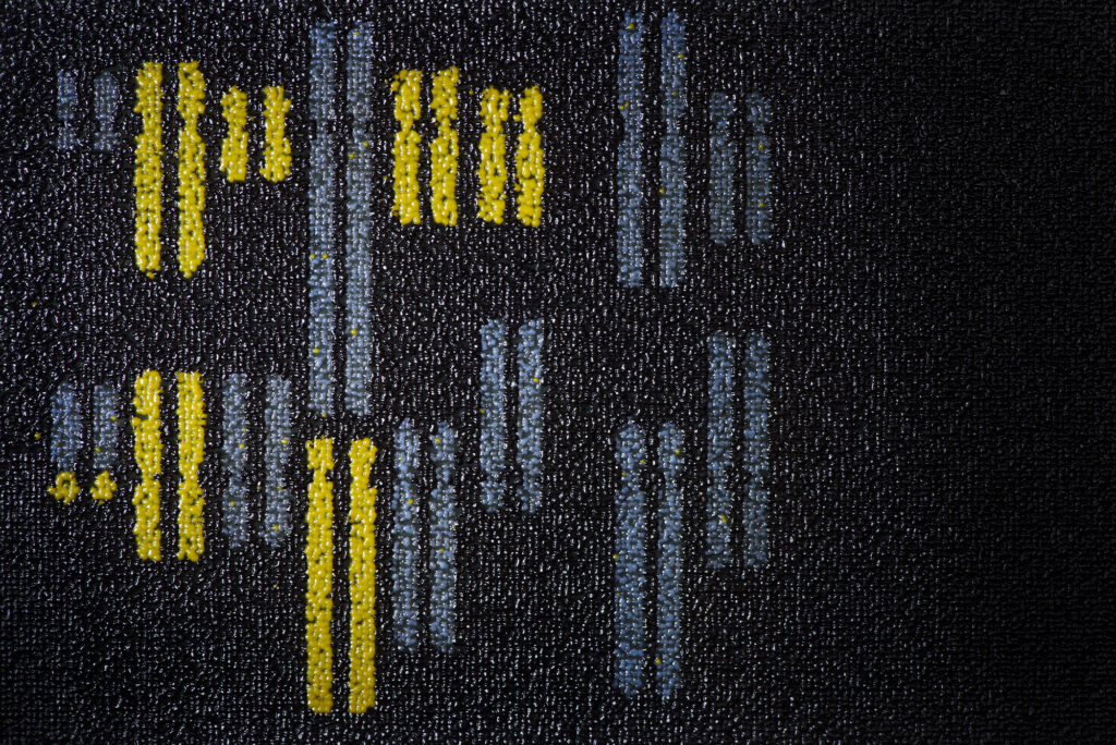 A detailed close-up of a pattern resembling a barcode with yellow and blue vertical lines against a dark purple background. The lines show the 16 pairs of chromosomes in the baker's yeast genome.