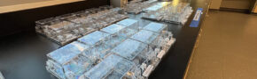 An array of growth chambers sit on a lab table for student experiments.