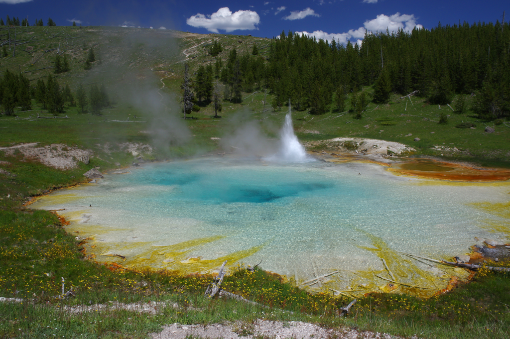 A landscape image shows a geyser surrounded by a forest. The hot spring itself is rust-colored at the edges tho is mostly white, with an aqua marine section in the center and a geyser rising from it. 