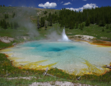 A landscape image shows a geyser surrounded by a forest. The hot spring itself is rust-colored at the edges tho is mostly white, with an aqua marine section in the center and a geyser rising from it.