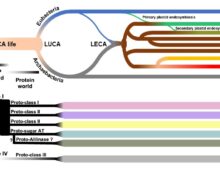 A multicolored flow chart